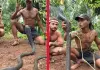 Youth-captures-king-cobra-eyes