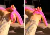 Colorful-snake-viral-video-on-social-media