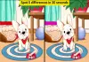 Spot-the-difference-brain-game-30-seconds-tamil
