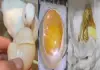 Broken-duck-egg-hatching-success