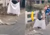 Snake-love-road-viral-video