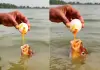 Fish-drinks-egg-in-water
