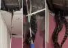 Three-snakes-fall-from-roof-viral-video-malaysia