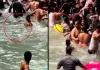 King-cobra-mosurii-waterfall-scare