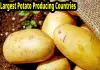 Top-potato-producing-country-china
