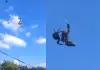Spider-captures-snake-viral-video