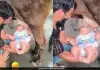 Baby-drinks-raw-cow-milk-kurnool-viral-video