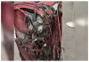 Train-travel-suitcase-breaks-platform