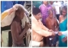 Odisha-tribal-man-bank-controversy-skeleton-video