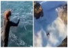 Black-sea-swimmer-viral-video