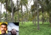 Virudhunagar-coconut-worker-dies-accidentally