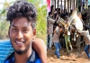 Tragedy at Dindigul Jallikattu Newly Married Bull Tamer Dies, 33 Injured