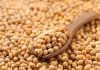 Amazing-health-benefits-of-soybeans-protein-rich-superf