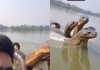 Seven-headed-snake-river-viral-news