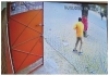 Man-attacks-bull-in-mirzapur-gets-injured