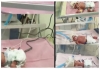 Australia-rare-identical-quadruplet-girls-birth