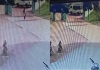 Telangana-missing-schoolgirl-found-safe-gwalior