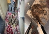 Bengaluru-woman-skeleton-found-house-toilet