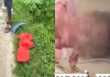 Rajasthan-baran-newborn-baby-rescued
