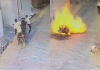 Rajasthan-electric-scooter-catches-fire