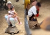 China-tortoise-riding-video-sparks-outrage