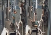 Assam-doctor-shaheen-rahman-dies-heart-attack-gym
