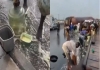Nigeria-lagos-petrol-tanker-crash-people-collect-fuel