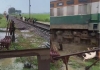 Pratapgarh-train-hits-goats