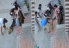 Sonipat-pitbull-attack-six-month-old-baby
