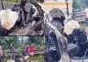 Jharkhand-minister-daughter-four-killed-jamshedpur-road