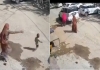 Rajasthan-jalore-sanchore-scorpio-hits-boy