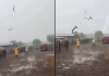Snakes-rain-from-sky-animal-rain-explained