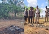 Trichy-woman-skeleton-found-cremation-ground