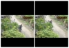 Kanpur-minor-girl-harassment-bike-rider-viral-cctv
