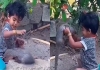 Gorakhpur-girl-plays-with-mongoose