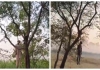 Lakhimpur-kheri-two-bodies-found-hanging