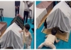 Malaysia-child-mother-funeral-viral-video