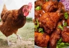 Chicken-intake-linked-to-stomach-cancer-risk-study