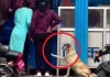 A Dog asking Food From Girl in Eatery 