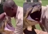 Python-head-stunt-viral-video