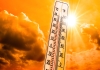 Summer Carrying Tips and Mega El Nino Effect Boost Caution of Heatwave 