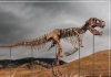 Gus-t-rex-skeleton-auction-record-sale