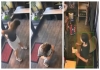 Shocking-public-defecation-woman-video-viral
