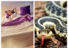 Snake-dream-meaning-tamil