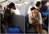 Bark Air launches dog friendly flight