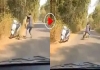 Viral-leopard-attack-ai-video-truth