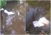 EVM Machine throwed on Pond 
