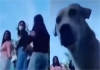  a Dog Urinate Mobile Phone While Gang of Girls Doing Reels 