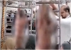   in Mumbai Local Train Man Enters Nude Position on Women