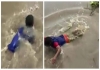 Shocking-crocodile-chase-viral-video